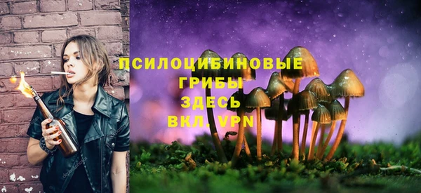 гашиш Балахна