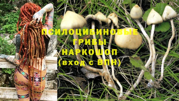 бутик Баксан