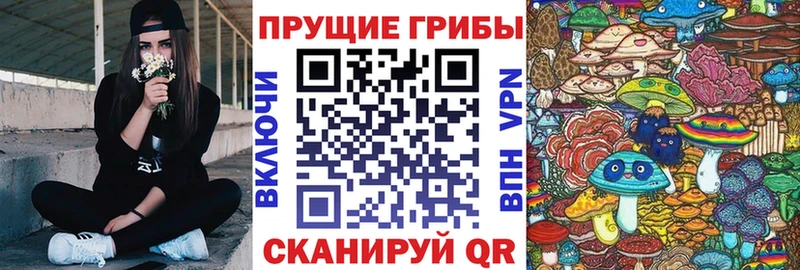 наркотики  Обь  Псилоцибиновые грибы прущие грибы 